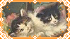 kittyorjframe-stamp