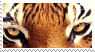 tiger-stamp