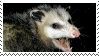 possum-stamp