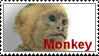 yrofmonkey-stamp