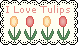 tulips-stamp