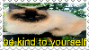 bekindtourself-stamp